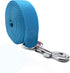 5 FT Strong Dog Leash, Nylon Dog Leashes for Small Medium Large Dogs Blue