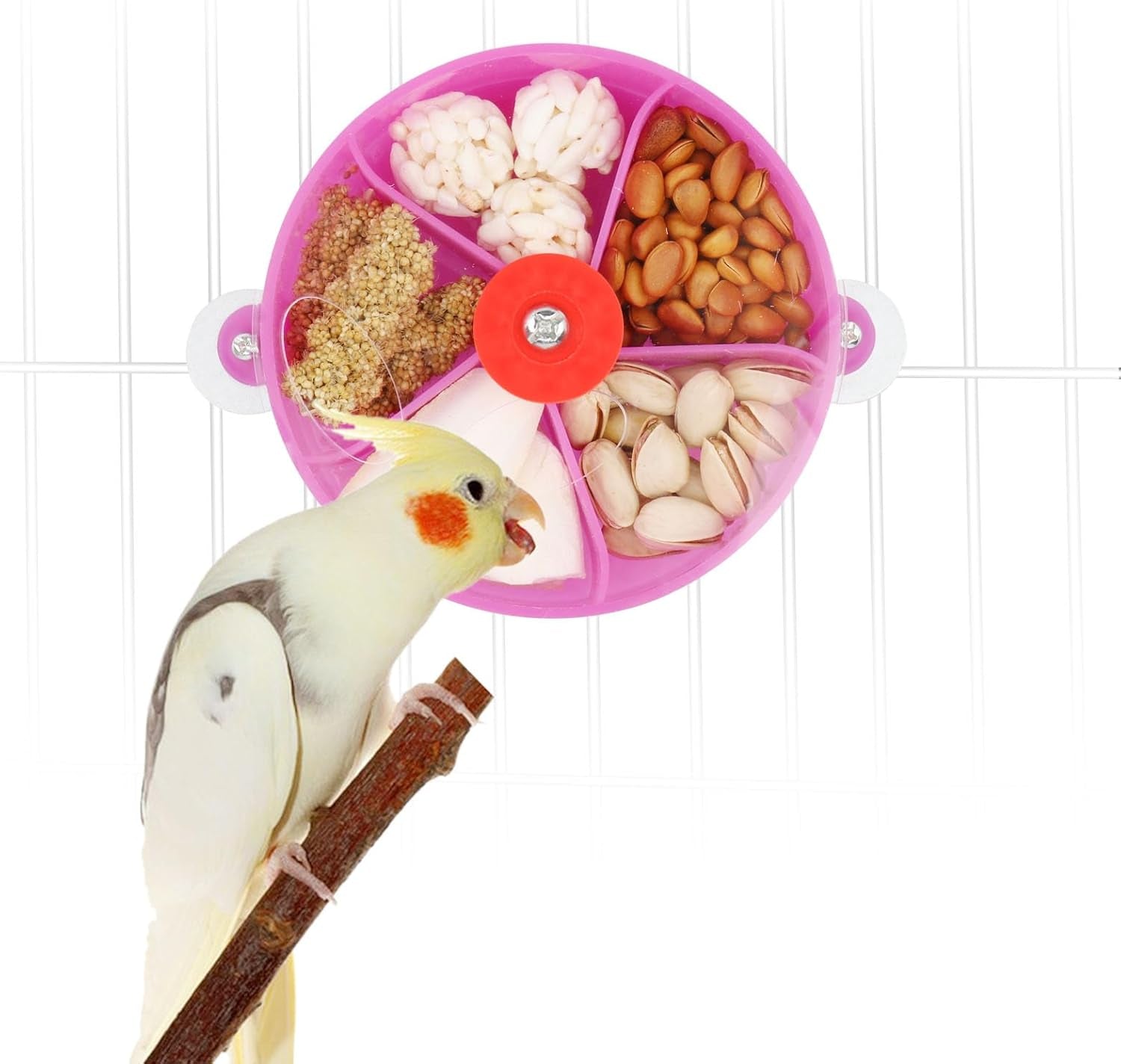 Foraging Wheel Bird Toy – Rotating Seed Ball for Parrots, Parakeets, Cockatiels & Conures (Purple)