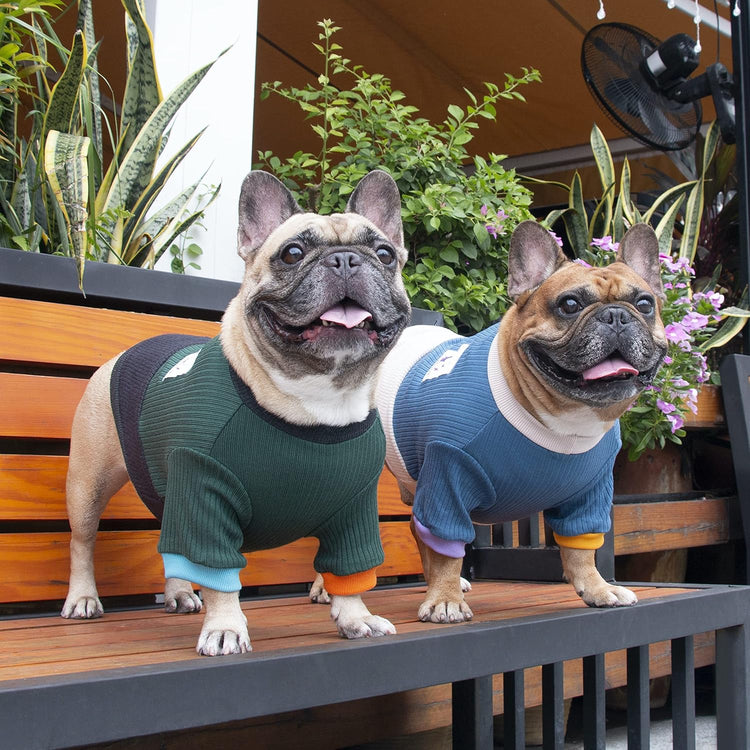 Dog Crewneck Sweater – Color Block Pullover, Green/Black (Medium)