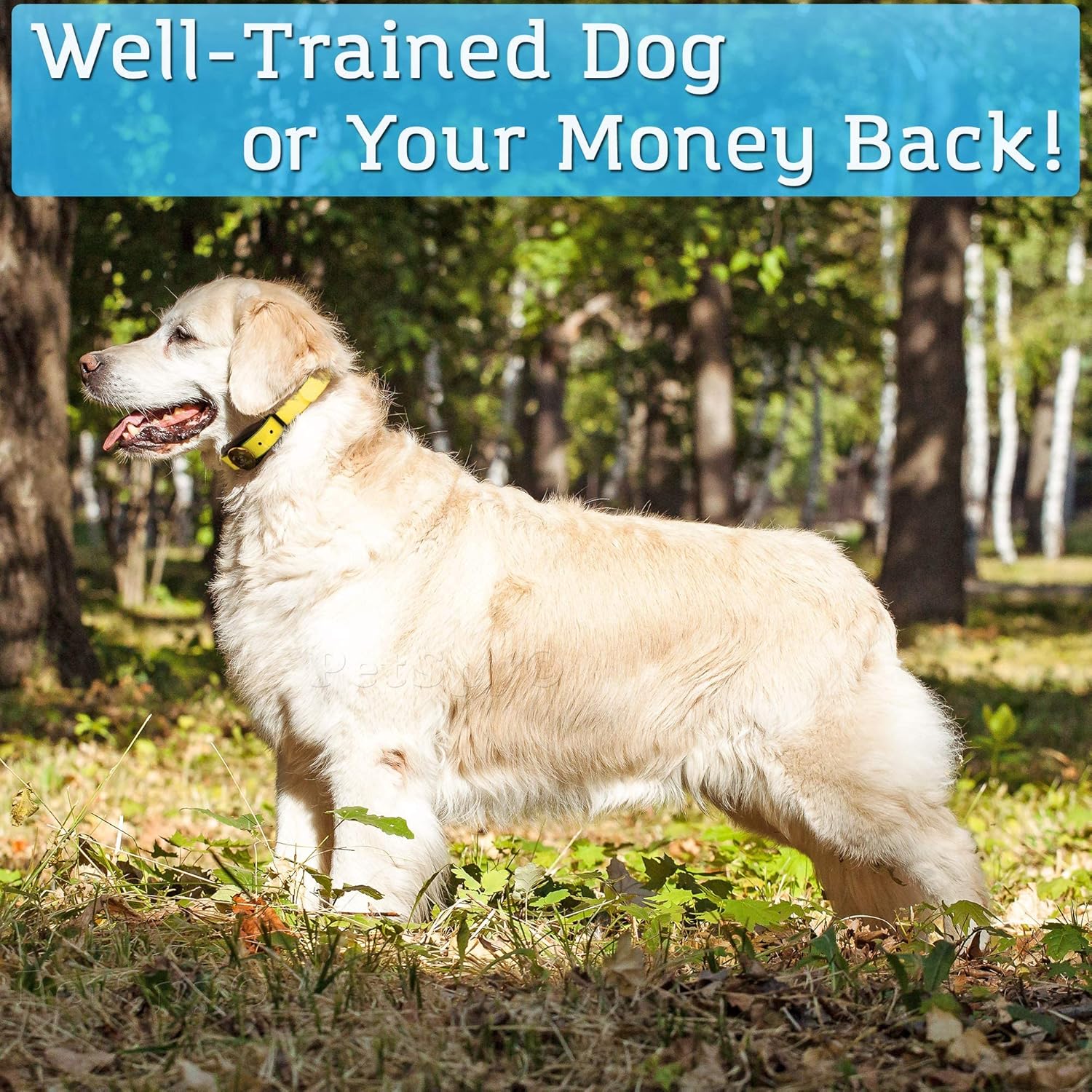 Remote Dog Training Collar P320N – 400 Yards, Shock/Vibration/Beep, Waterproof