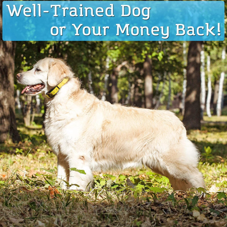 Remote Dog Training Collar P320N – 400 Yards, Shock/Vibration/Beep, Waterproof