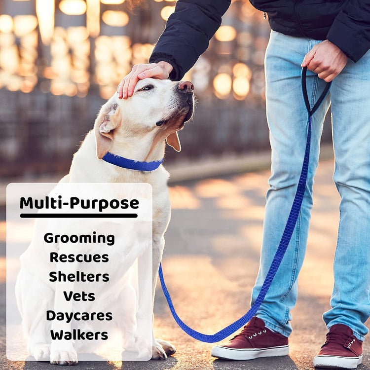 - 6Ft Dog Kennel Slip Lead - Veterinarian, Grooming, Daycare & Rescue Supplies - One Size Leads for Dogs - 1" Thick 6 Pack