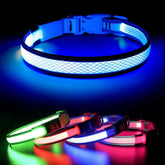 Light up Dog Collar - Rechargeable LED, Reflective, Glowing Camping Gear, Adjustable Dog Lights for Night Walking (Medium, Royal Blue)
