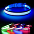 Light up Dog Collar - Rechargeable LED, Reflective, Glowing Camping Gear, Adjustable Dog Lights for Night Walking (Medium, Royal Blue)