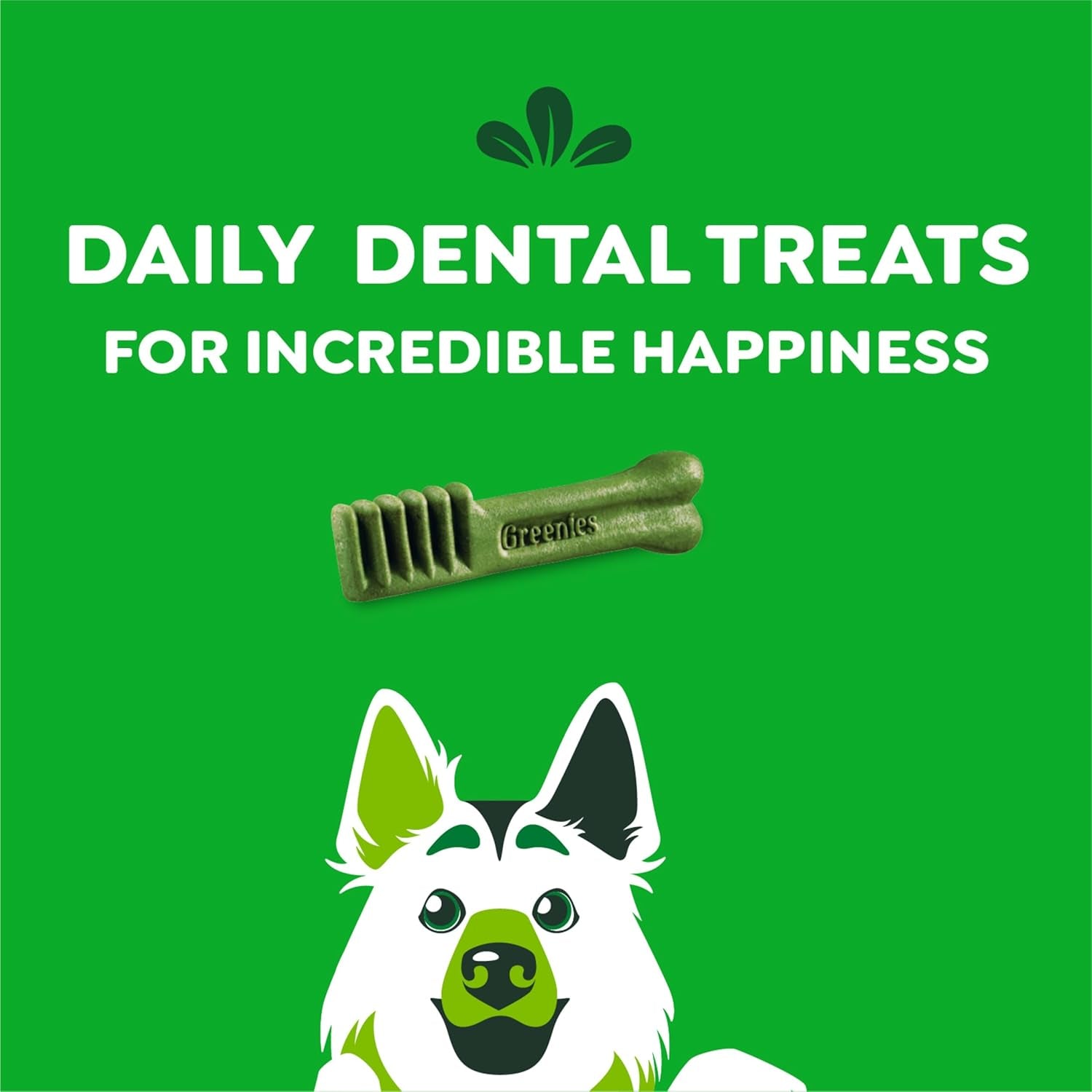 Original Large Dental Dog Treats – 54 oz Pack, 34 Treats for Teeth Cleaning & Fresh Breath