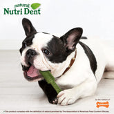 Nutri Dent Dog Dental Treats – Natural Teeth Cleaning & Breath Freshener, Medium Size, 40 Count
