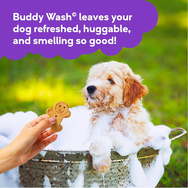 Buddy Wash 2-in-1 Dog Shampoo & Conditioner – Lavender & Mint, 1 Gallon