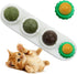 Catnip Wall Ball Cat Toys with 2 Treat Candies – Safe Edible Licking Balls for Indoor Cats