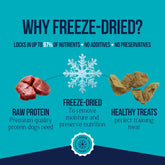 Single Ingredient Freeze Dried Raw Dog Treats, Chicken Liver, 1.5 Ounce, Approx. 25 Pieces per Resealable Tub, Training Treats or Meal Topper, High Protein, Grain Free, Gluten Free