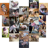 Pet Dog Long Sweaters Dress Knitwear Turtleneck Pullover Warm Winter Puppy Sweater Long Dresses (Grey Heart, Small)