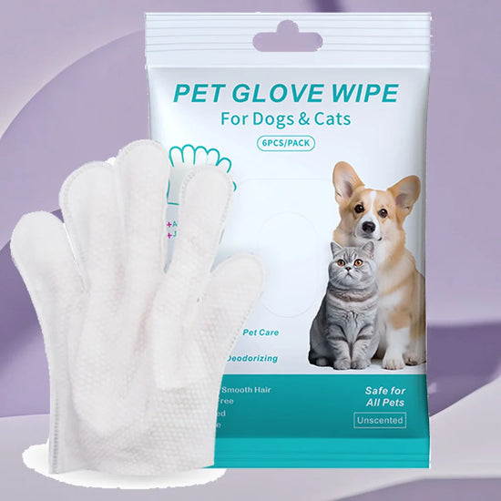 Pet supplies, pet disposable gloves, bathing and cleaning for cats and dogs, dry cleaning, wet wipes, and gloves.