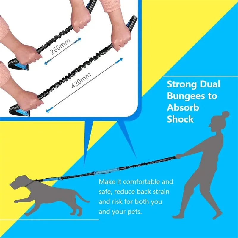 Adjustable retractable leash for safe dog walks