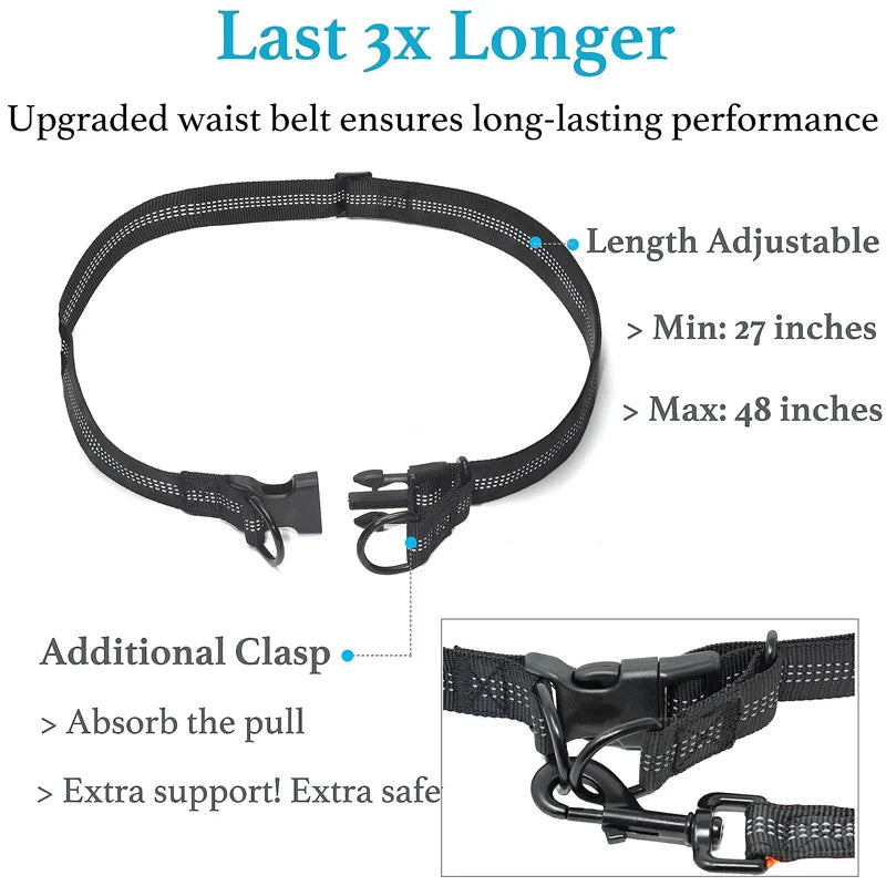 Durable hands-free dog leash for jogging with pets
