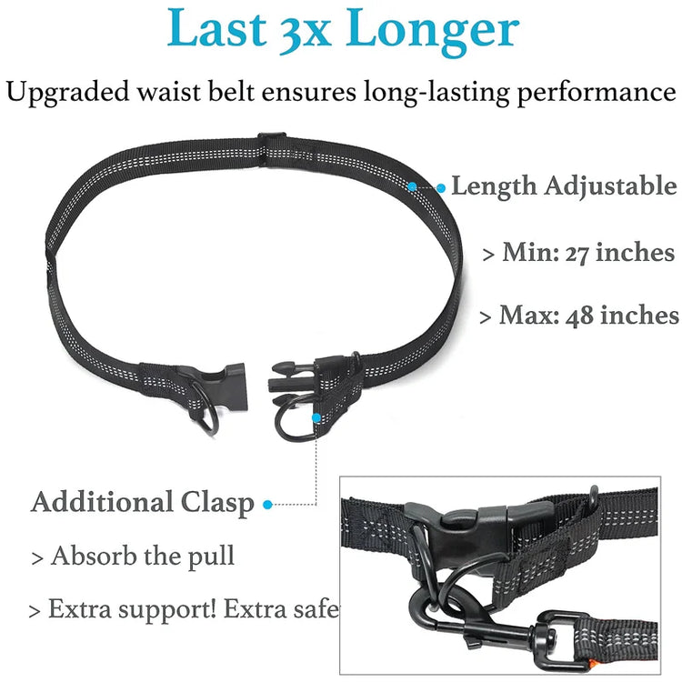 Durable hands-free dog leash for jogging with pets