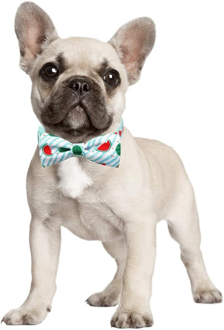 Watermelon Bowtie Dog Collar – Stylish & Comfy Puppy Collar with Bow Tie for Small Dogs