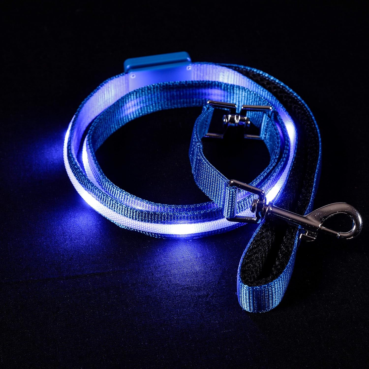 LED Light-Up Dog Leash – USB Rechargeable, 4ft Blue