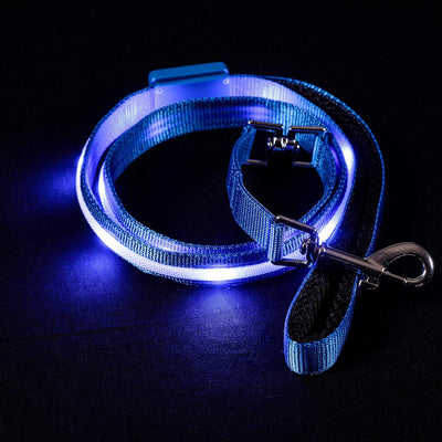 LED Light-Up Dog Leash – USB Rechargeable, 4ft Blue