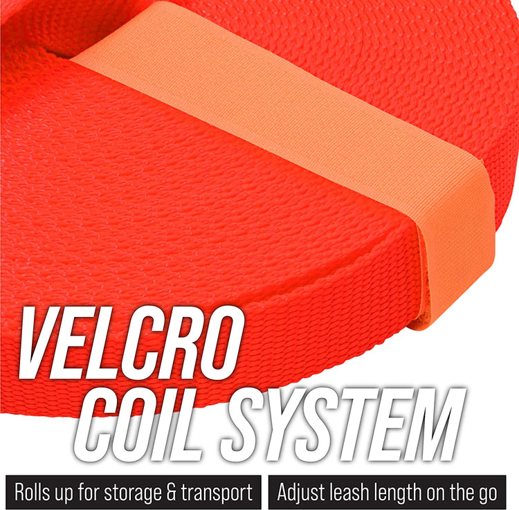 Long Trainer - 1 Inch Nylon Long Dog Training Leash with Storage Strap (50 Ft, Black)