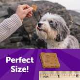 Rewarding Life Dog Training Treats – Grain-Free, Soft Chicken & Lamb Recipe, 6 oz Bag