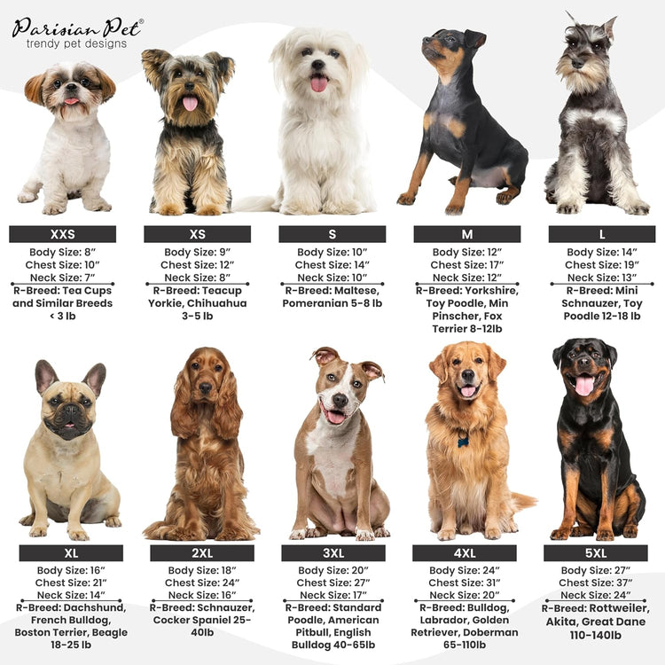 Dog T-Shirt with Embroidered &