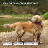 Waterproof Dog Collar - Silicone, Plastic Collar, Odor-Resistant, Easy to Clean, for Large, Medium, Small Dogs - Adjustable Collar with Breakaway Buckle (Neck Fit 12"-16", Pink)