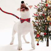 Christmas Buffalo Dog Collar and Leash Set, Classic Plaid Collar with Removable Bowtie and Matching Leash for Medium Dogs