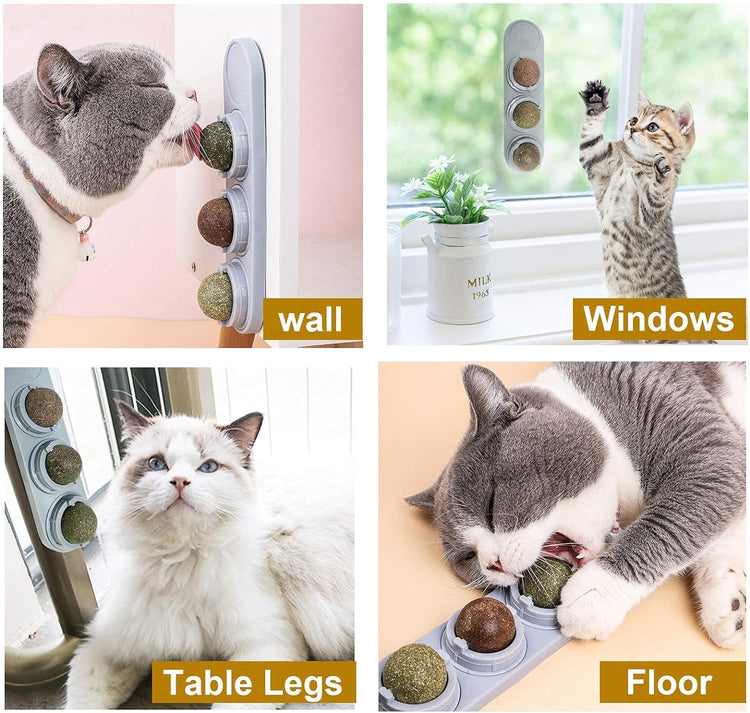 Catnip Wall Ball Cat Toys with 2 Treat Candies – Safe Edible Licking Balls for Indoor Cats