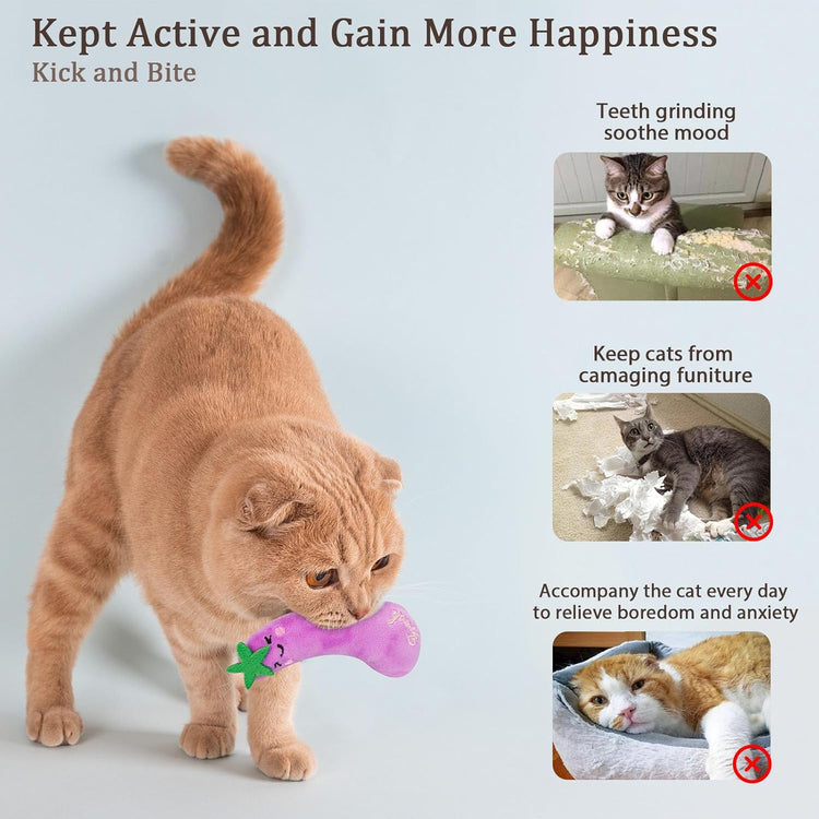 Catnip Cat Toys 5-Pack – Durable Vegetable-Shaped Teething Chew Toys for Indoor Kittens and Cats