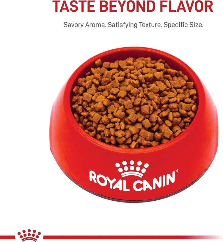 royal-canin-mother-babycat-dry-cat-food
