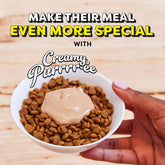 Creamy Puree Squeezable Lickable Wet Cat Treats with Salmon, 0.42 Oz. Tubes, 24 Count