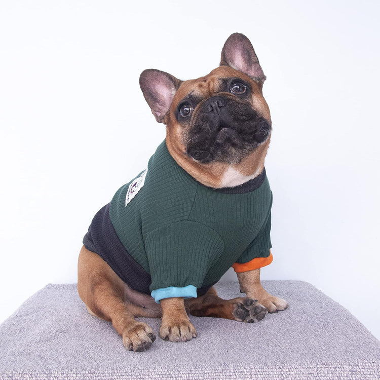 Dog Crewneck Sweater – Color Block Pullover, Green/Black (Medium)