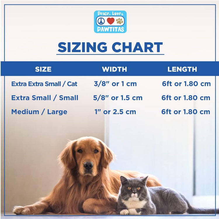 6 FT Solid Color Leash Puppy Leash Dog Leash Comfortable Handle Dog Training Leash 6 Ft Dog Leash Medium Dog Leash/Large Dog Leash Green Dog Leash