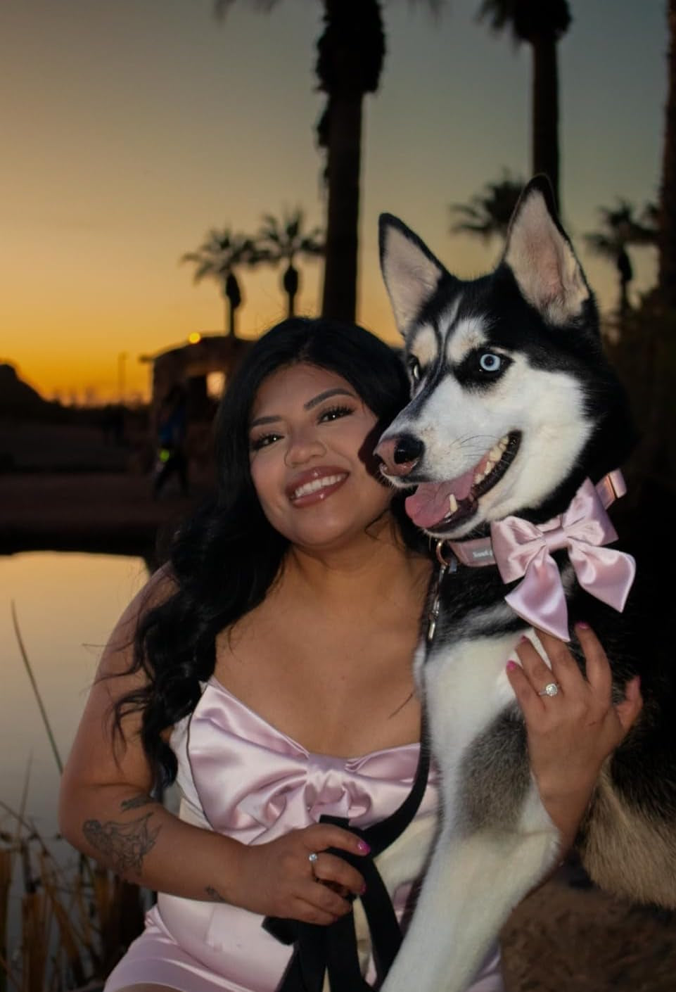 Silk Bowtie Dog Collar – Comfortable Adjustable Collar with Detachable Bow Tie for Small Dogs (10-16 Inch Neck)