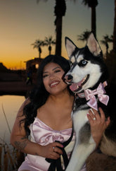 Silk Bowtie Dog Collar – Comfortable Adjustable Collar with Detachable Bow Tie for Small Dogs (10-16 Inch Neck)