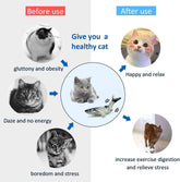 Floppy Fish Dog Toy & Cat Chew Toy – USB Charging, Interactive Teething Catnip Toy for Indoor Cats