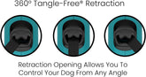 Monochrome 360° Tangle-Free Retractable Dog Leash | 16 Ft Strong Nylon Tape (Small, Aqua)