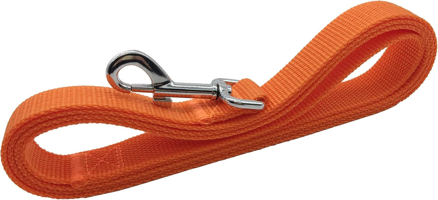 5 FT Strong Dog Leash, Nylon Dog Leashes for Small Medium Large Dogs Orange