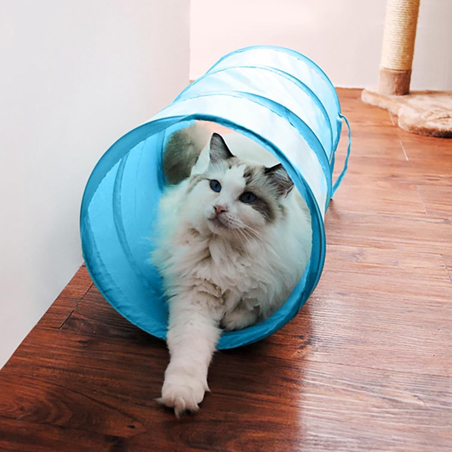Cat Tunnel for Indoor Cats Interactive, Rabbit Tunnel Toys, Pet Toys Play Tunnels for Cats Kittens Rabbits Puppies Crinkle Collapsible Pop up Black 20"