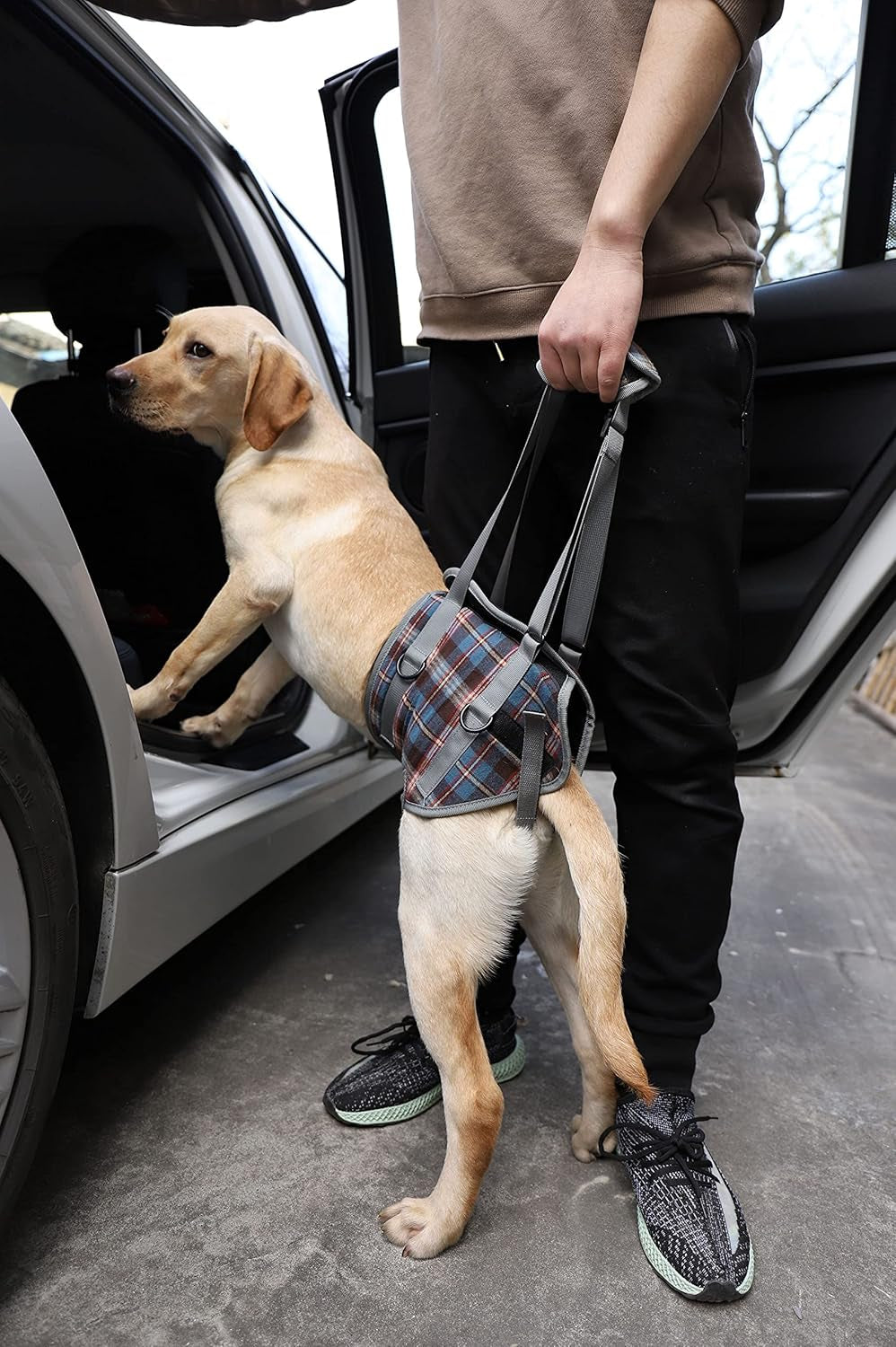 Dog Lift Harness, Grid Pet Rear Support Aid Veterinarian Approved Sling for Old K9 Help with Poor Stability, Back Leg Hip Disabled Joint Injury Elderly Arthritis ACL Rehabilitation Rehab