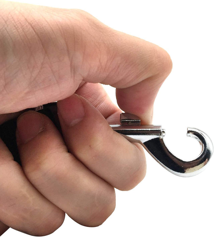 5 FT Strong Dog Leash, Nylon Dog Leashes for Small Medium Large Dogs Purple