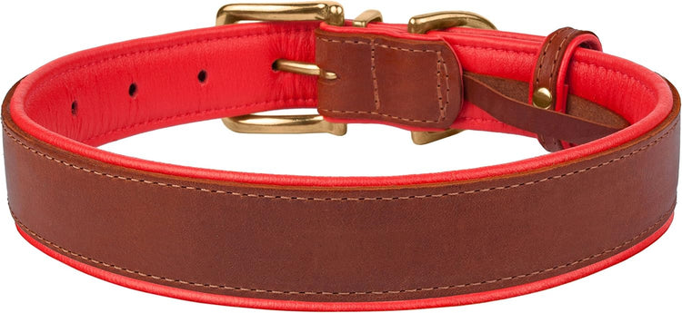 Leather Dog Collar Brass Buckle Soft Padded Puppy Small Medium Large Red Pink Blue Green Purple Yellow (Neck Fit 12"-14", Red)