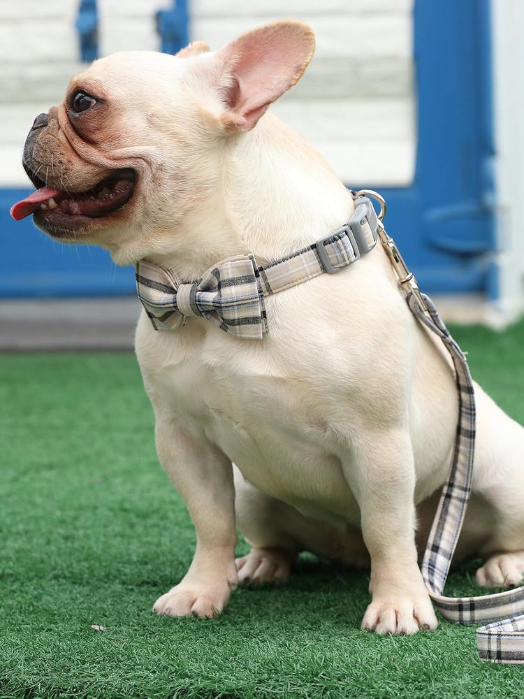 Adjustable Dog & Cat Collar with Bowtie – Grid Pattern, Plastic Buckle, Fits Small to Large Pets