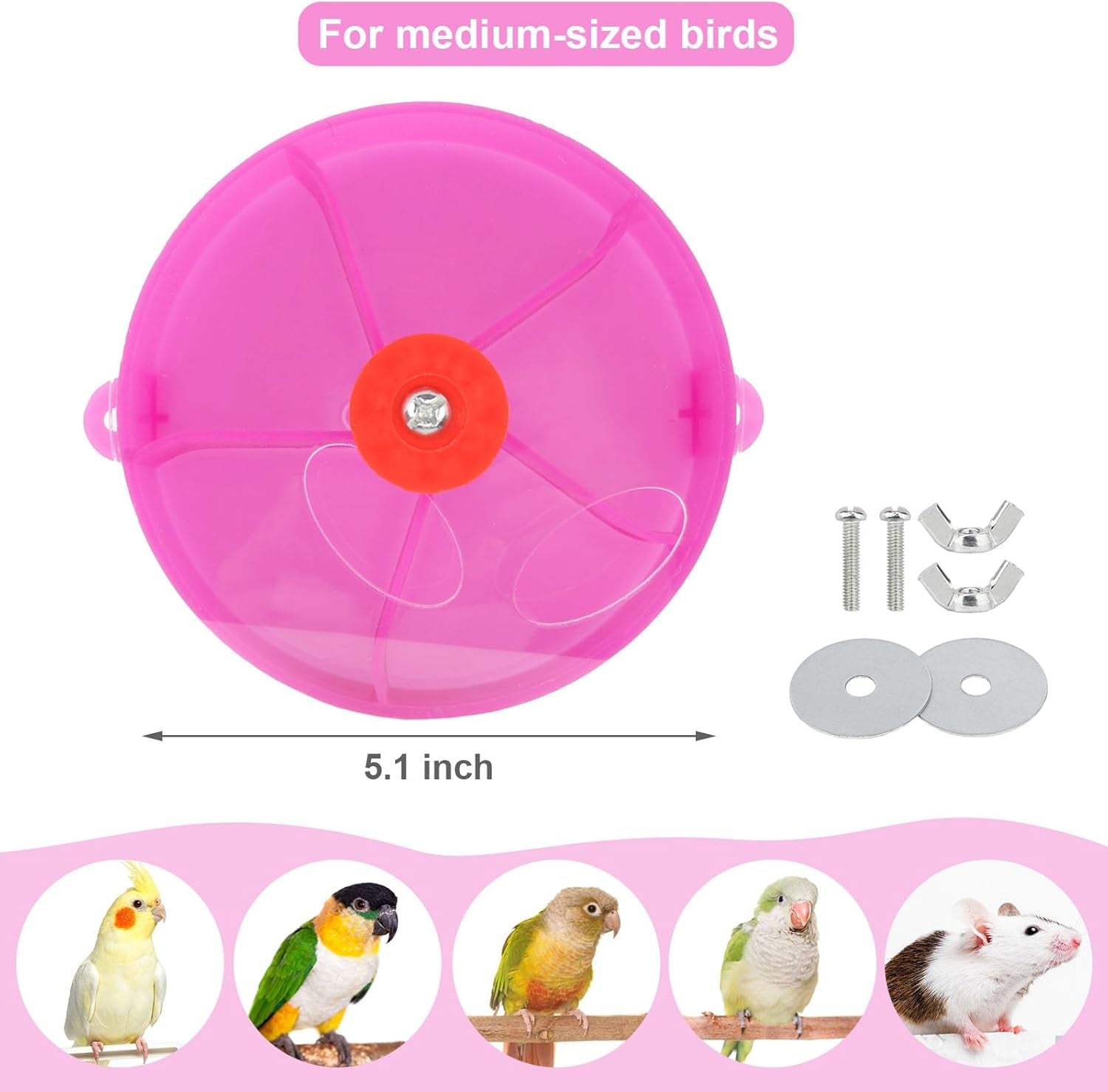 Foraging Wheel Bird Toy – Rotating Seed Ball for Parrots, Parakeets, Cockatiels & Conures (Purple)