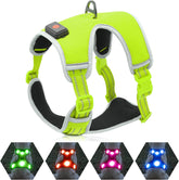 Light up Dog Harness - USB Rechargeable LED Dog Harness with Reflective Strips, Comfortable Adjustable Sizes (Green, Medium)