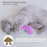 Catnip Cat Toys 5-Pack – Durable Vegetable-Shaped Teething Chew Toys for Indoor Kittens and Cats