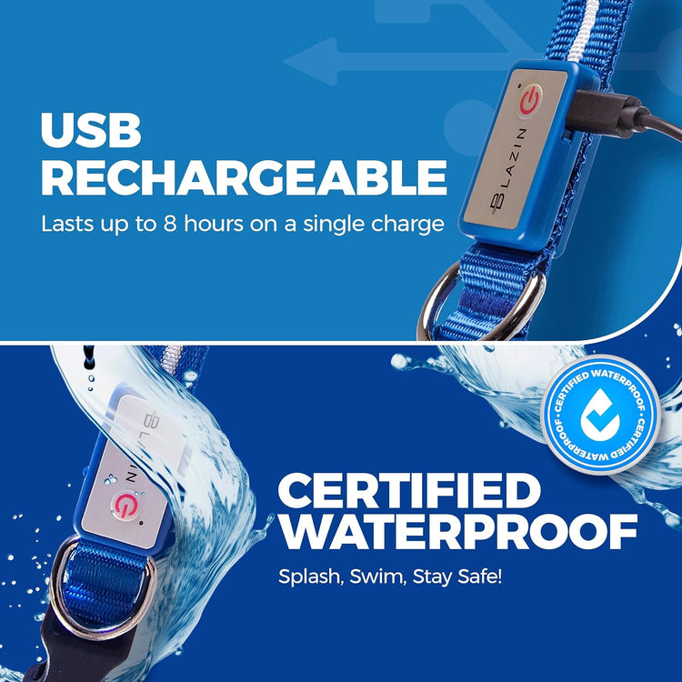 LED Light-Up Dog Leash – USB Rechargeable, 4ft Blue