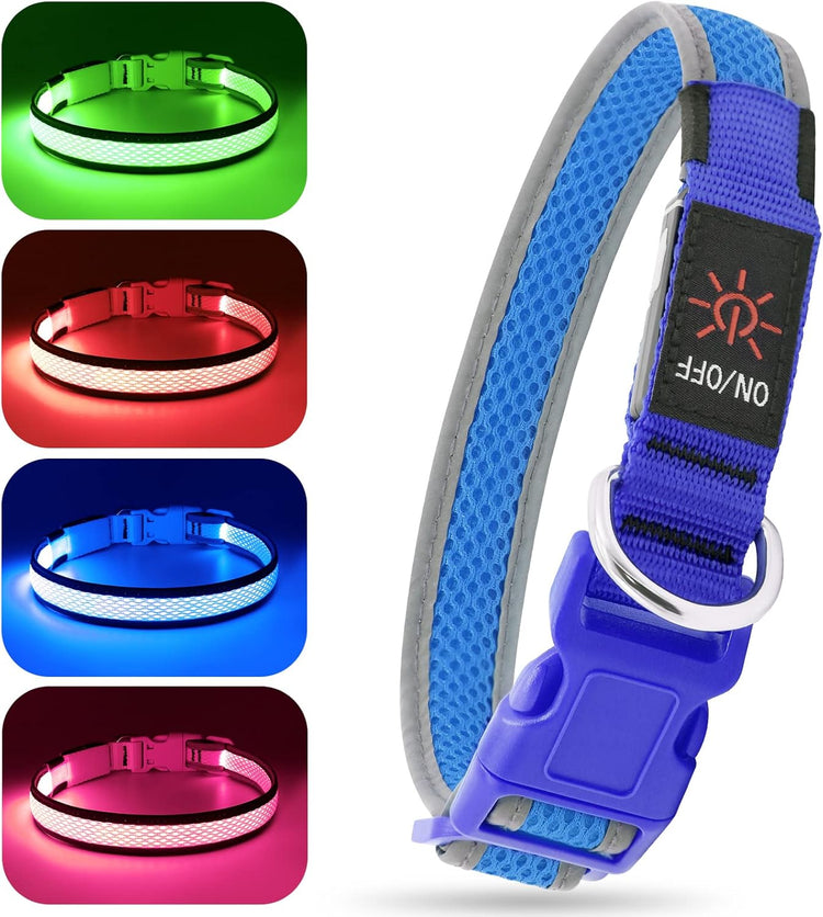 Light up Dog Collar - Rechargeable LED, Reflective, Glowing Camping Gear, Adjustable Dog Lights for Night Walking (Medium, Royal Blue)