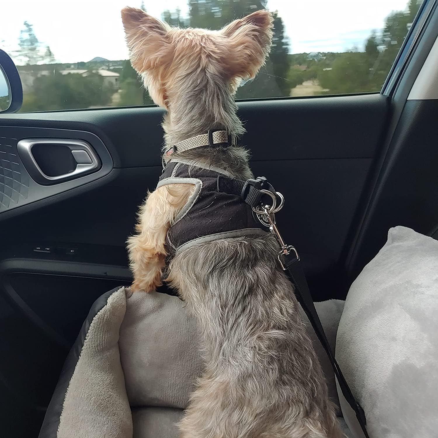 Dog Car Seat with Safety Belt, Washable Booster for Small Dogs, Anti-Slip Travel Bed for Front or Back Seat, Adjustable Buckle, Storage Pockets