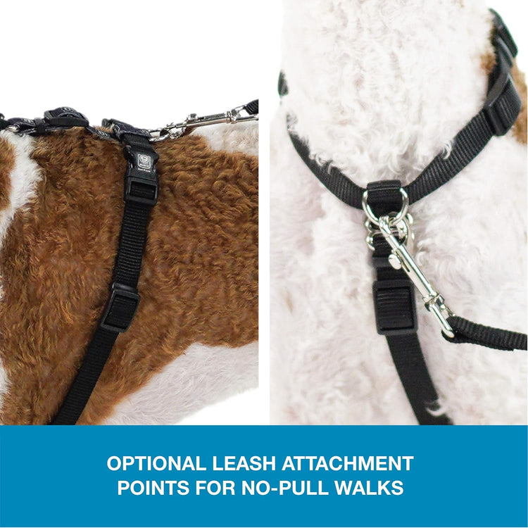 Pet Products No-Pull Balance Harness and Loose Leash Walking Set Dogs, Made in the USA, Black, X-Small