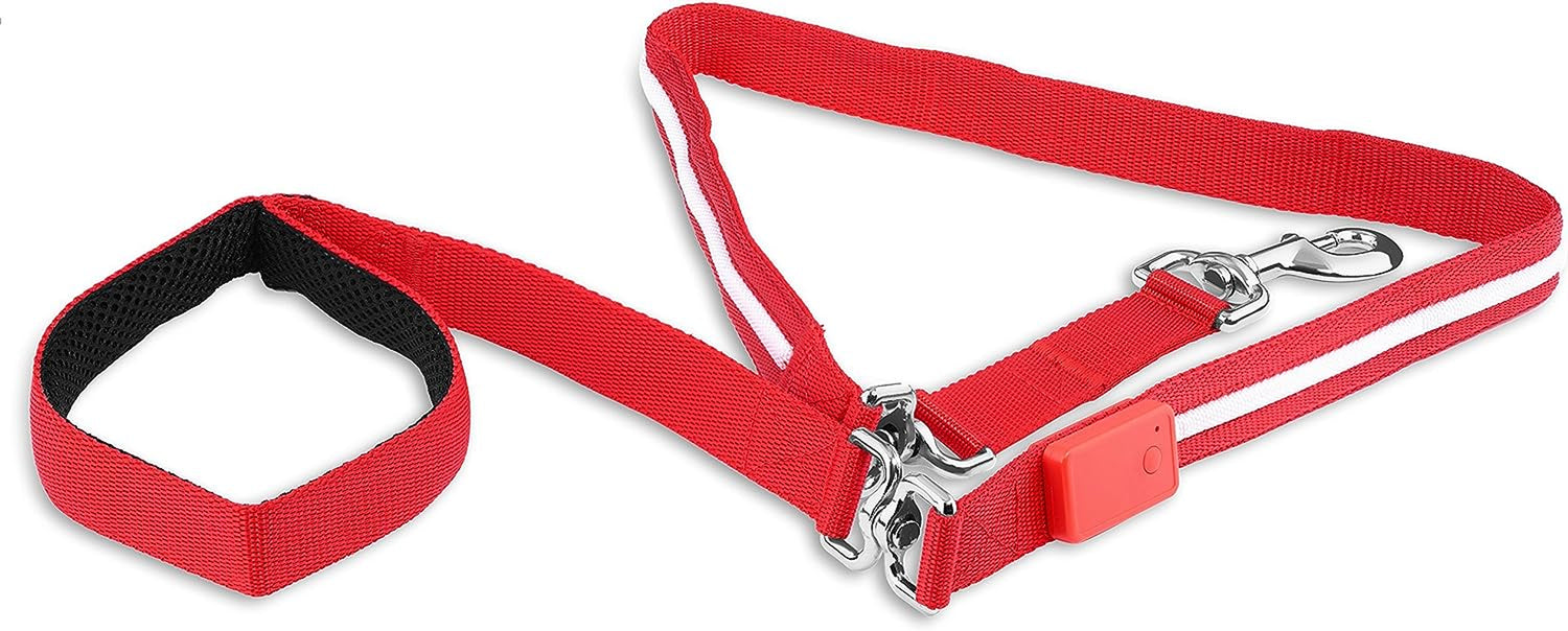 LED Safety Dog Leash – USB Rechargeable, 6ft Red (Waterproof)